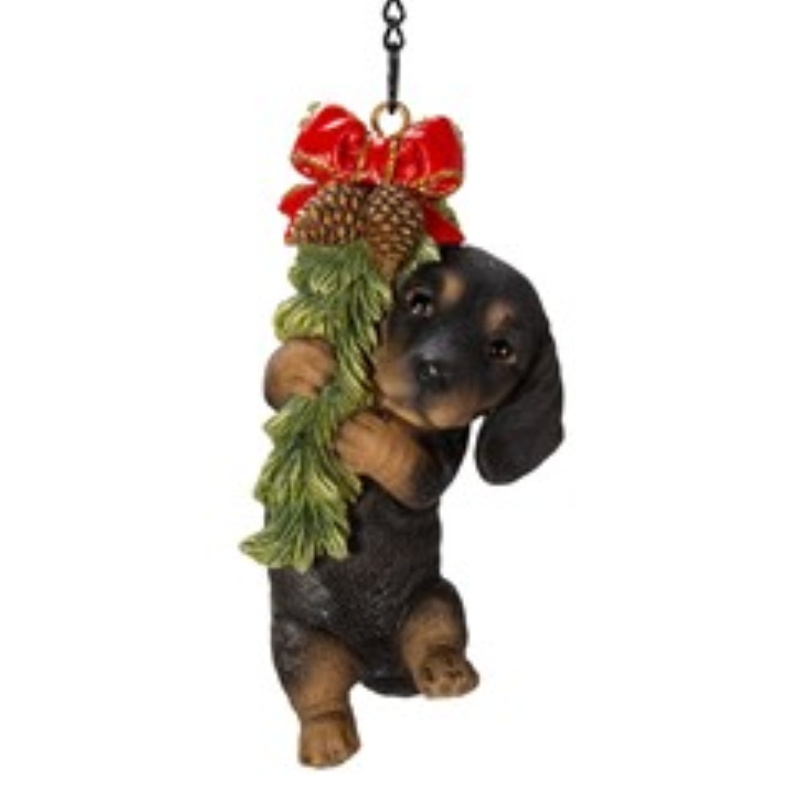 Hanging Dachsund Puppy