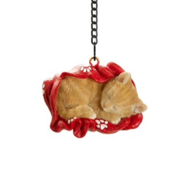 Blanket Ginger Kitten