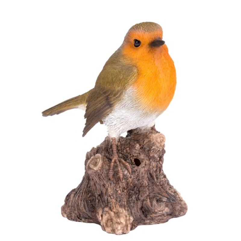 Singing Robin on Stump