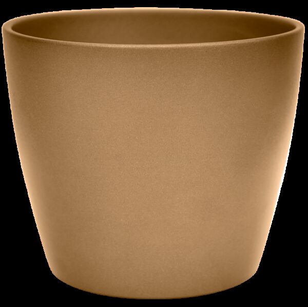 Poinsettia Planter Brushed Gold