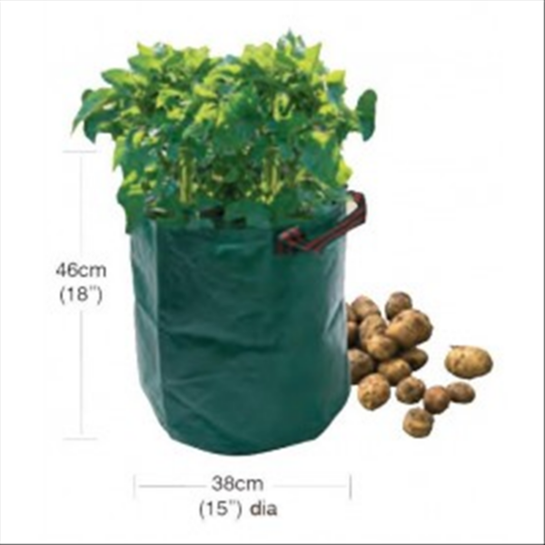 Potato Bag