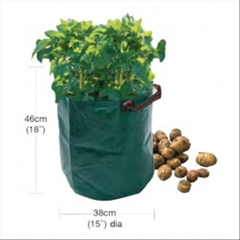 Potato Bag