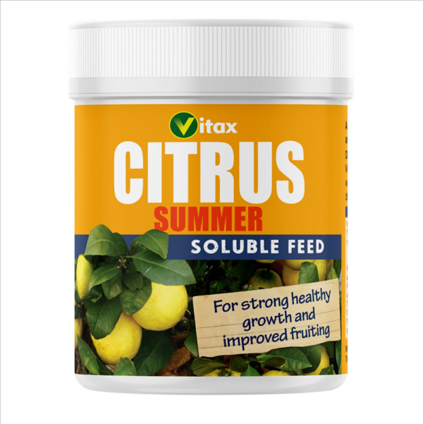 Citrus Feed - Summer 200g