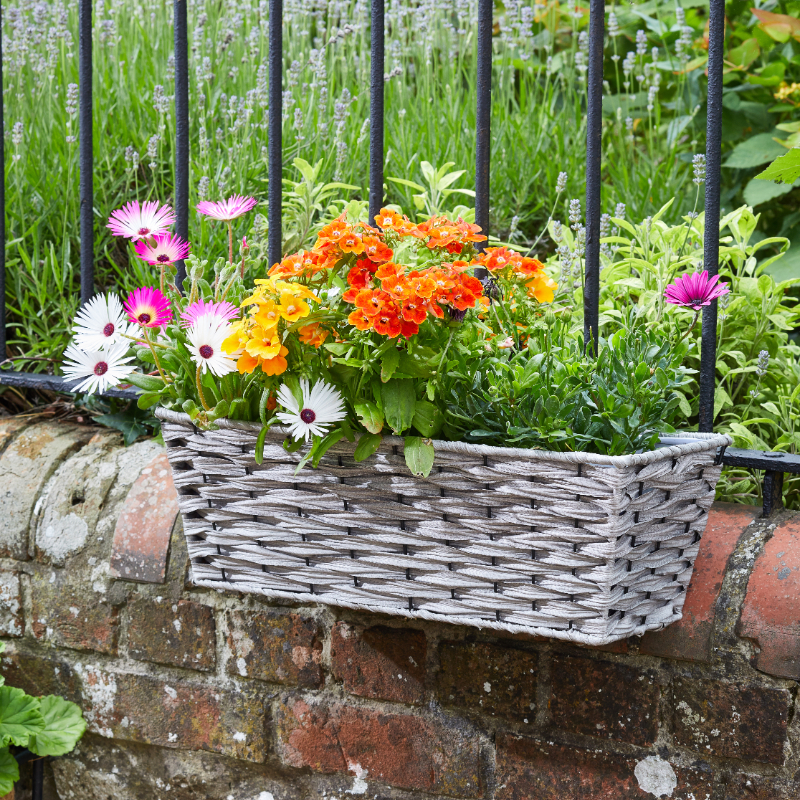 19” Bari Faux Rattan Planter