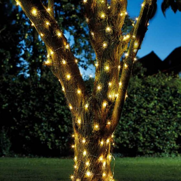 Firefly String Light 100