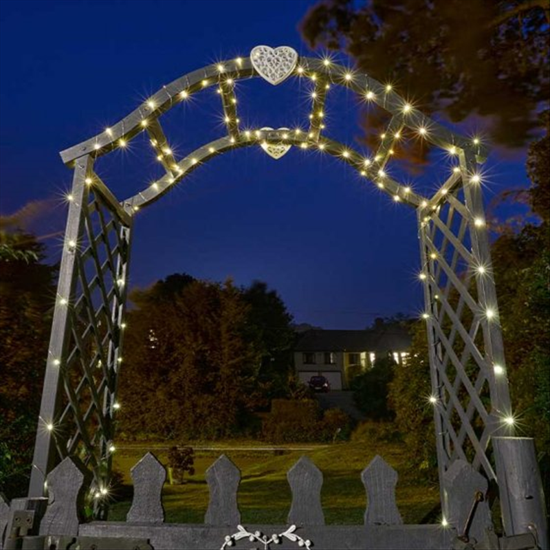 Firefly String Light 200
