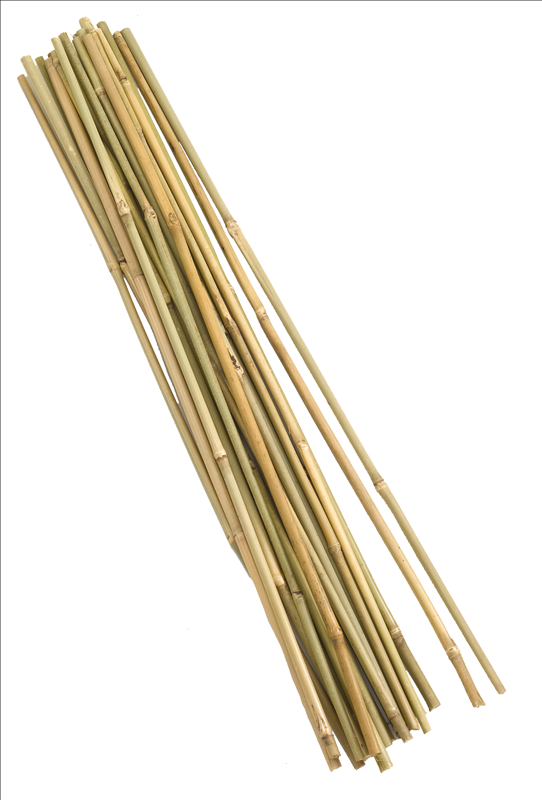 Bamboo Canes 60cm