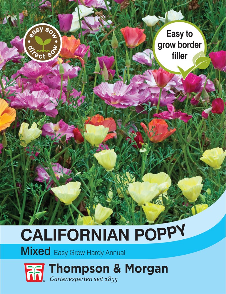 Californian Poppy Mixed