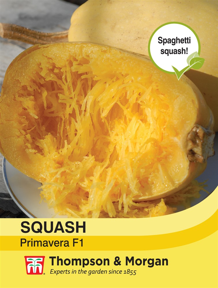 Squash Primavera F1 Hybrid