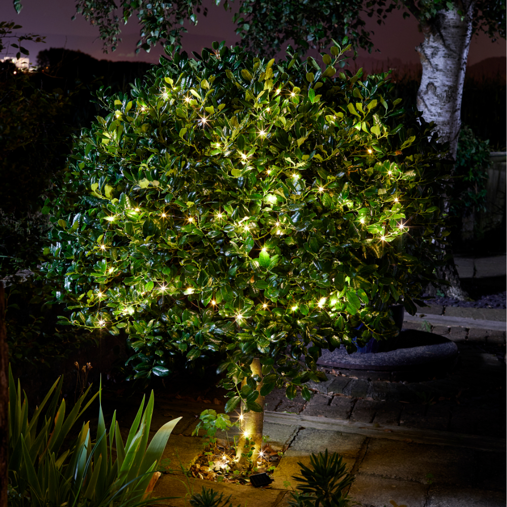 Firefly String Light