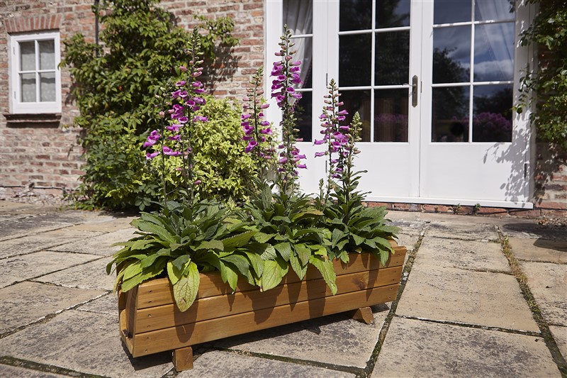 Rosemoor Trough Planter