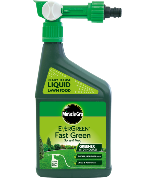 Evergreen® Spray & Feed 1L