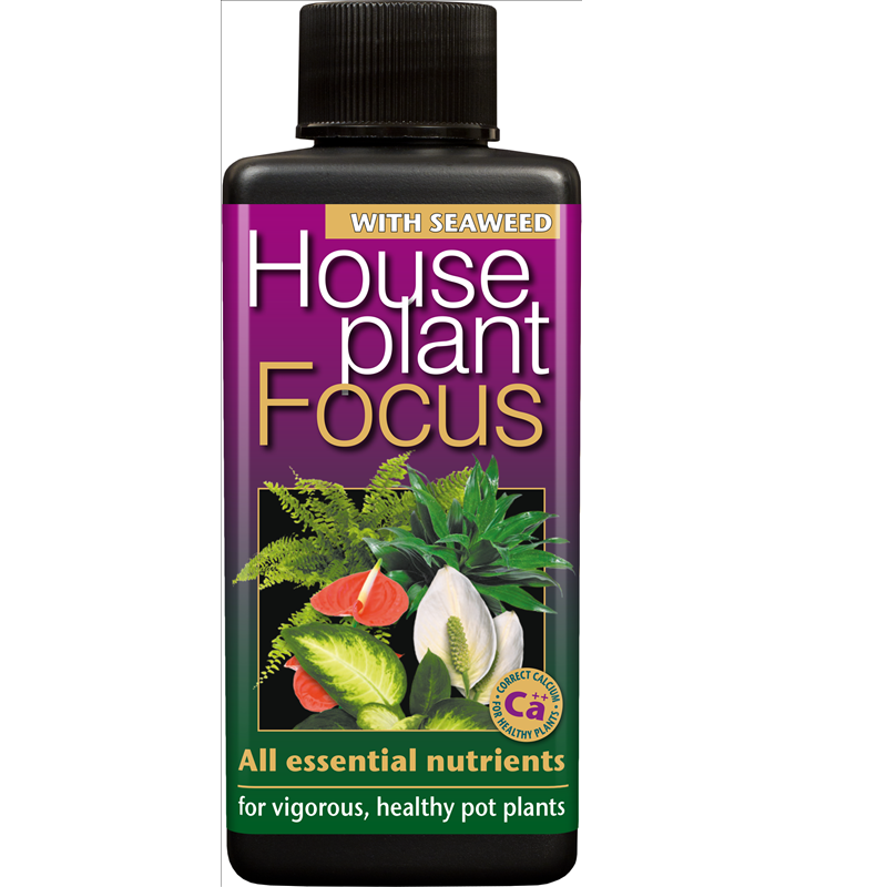 Houseplant Focus 100ml