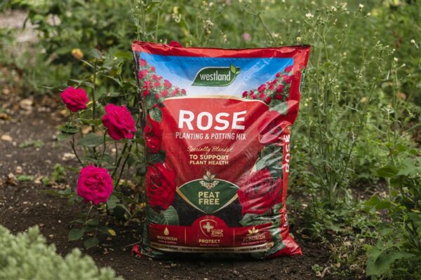 Rose Planting & Potting Peat Free 50L