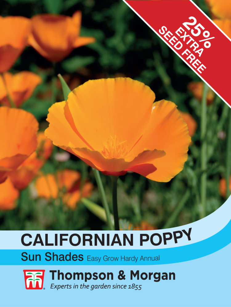Californian Poppy Sun Shade