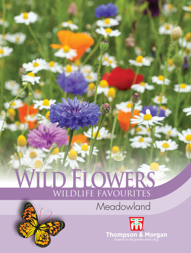 Wild Flower Meadowland