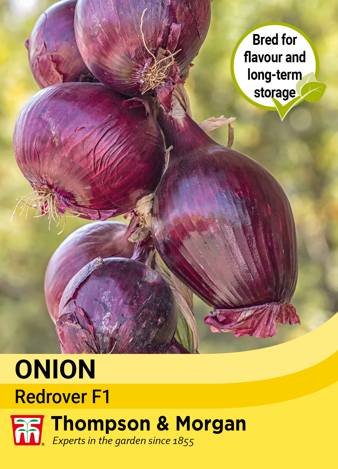 Onion Redrover F1