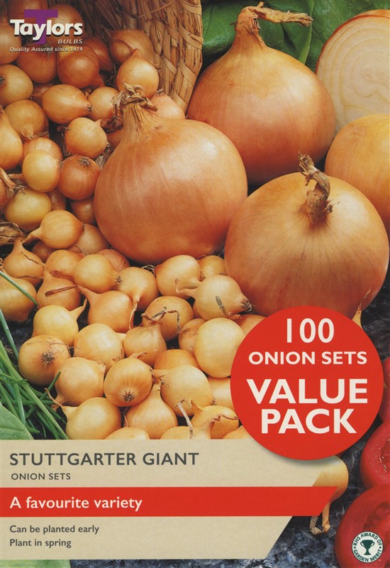 Value Onion Stuttgarter Giant Pre Pack