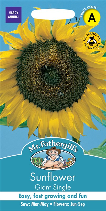 Sunflower Giant Single