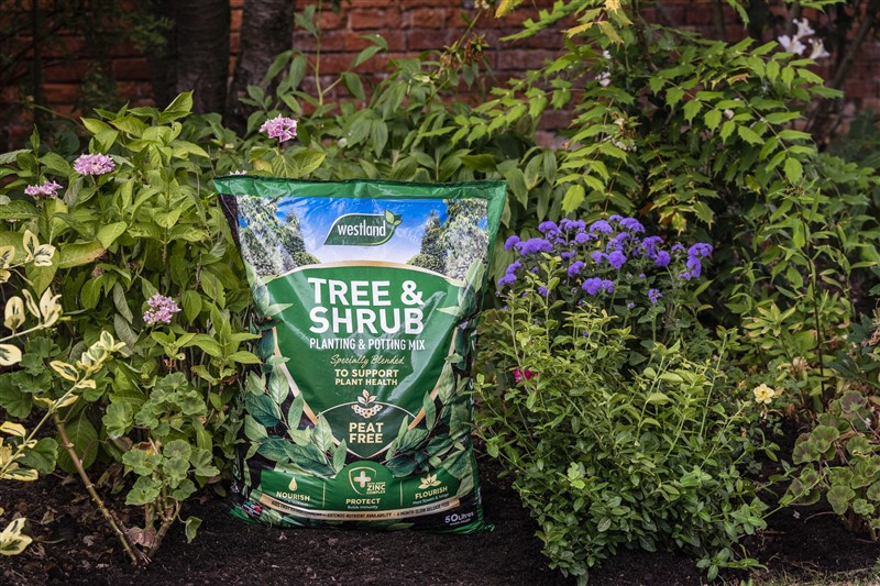 Tree & Shrub Planting Peat Free 50L