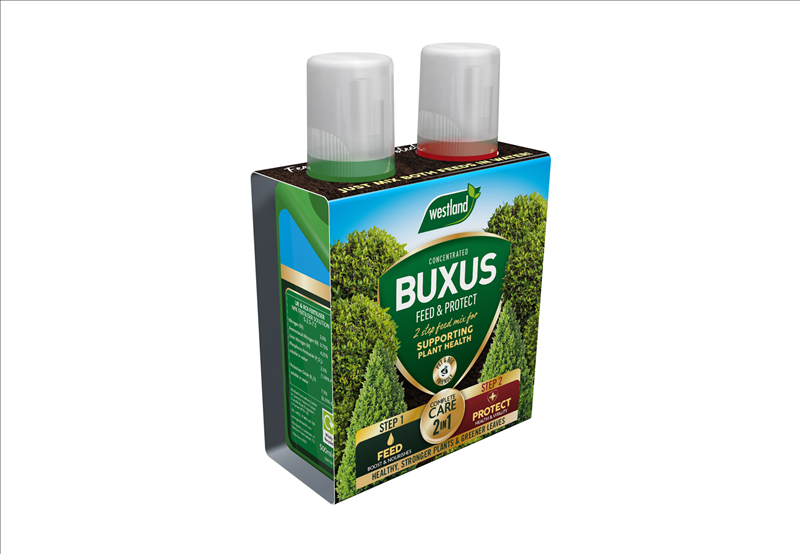 Westland 2 in1 Feed and Protect Buxus