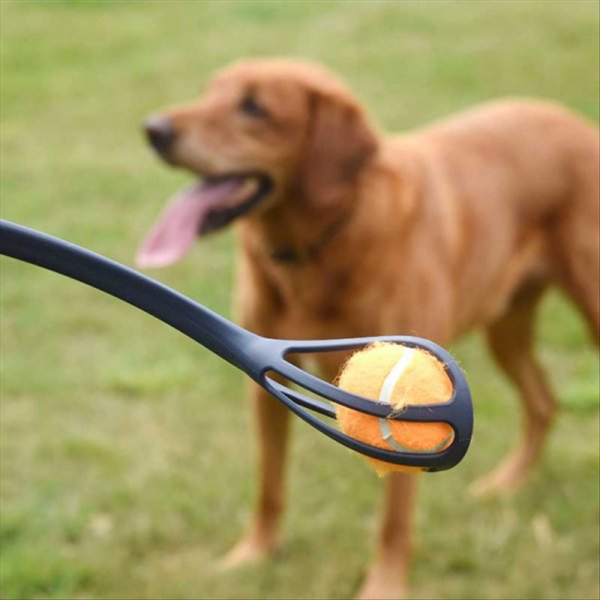 Pooch Ball Launcher