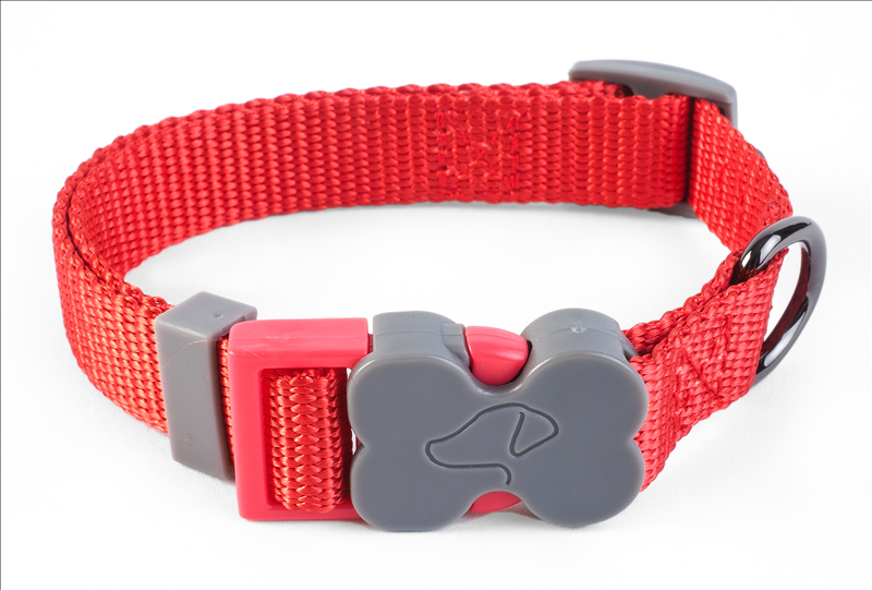 WalkAbout Red Dog Collar - Extra Small