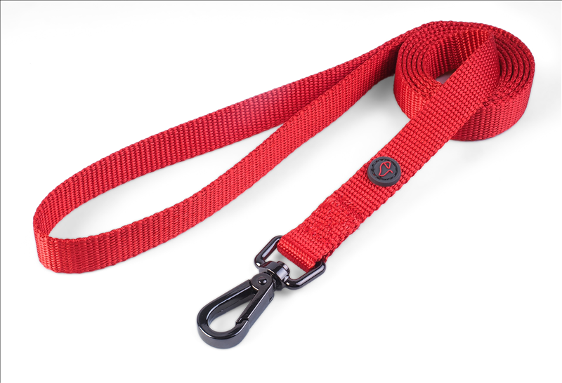 WalkAbout Red Dog Lead - Standard