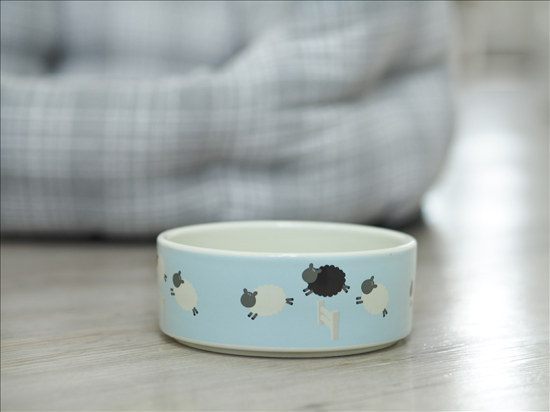 Counting Sheep Ceramic Bowl 20cm