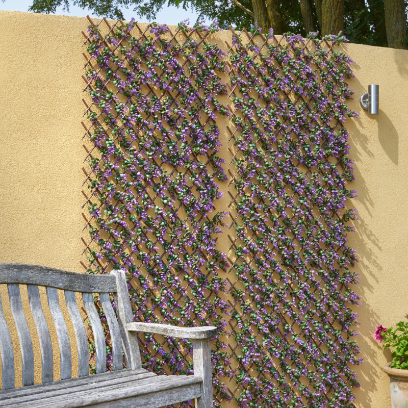 Vivid Violet Trellis