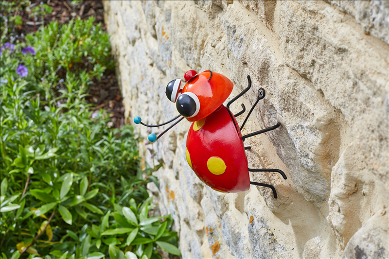 Loony Ladybug Hanger On