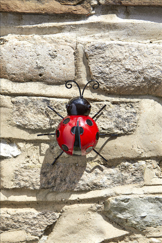 Large Ladybird Hanger On