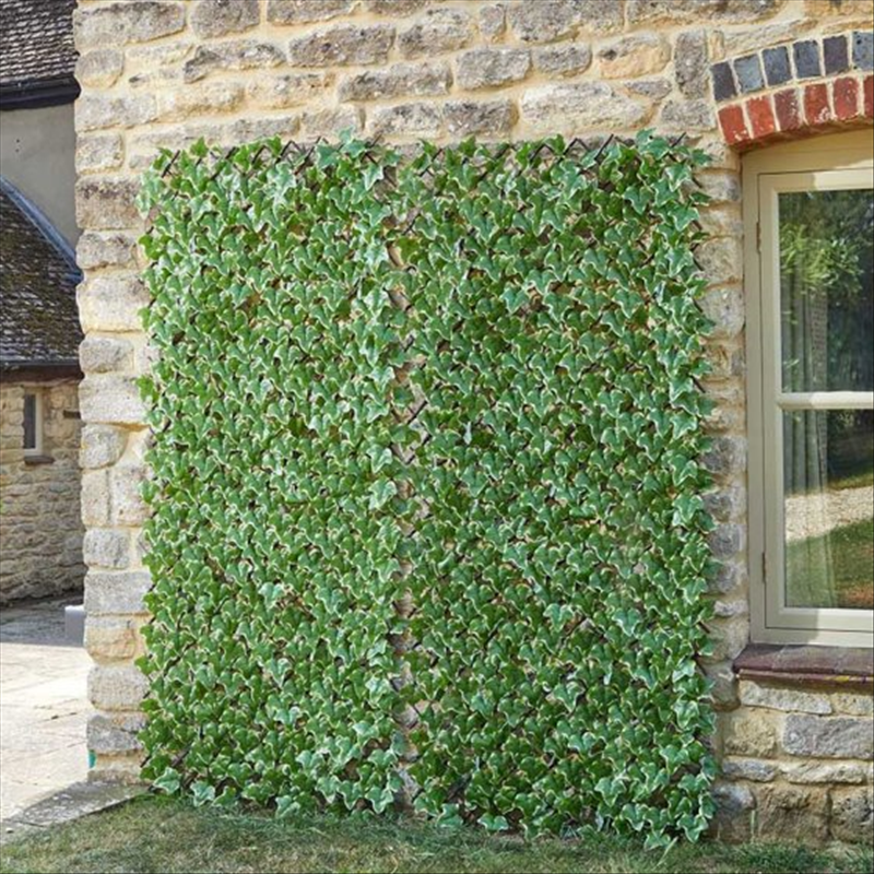 Ivy Leaf Trellis