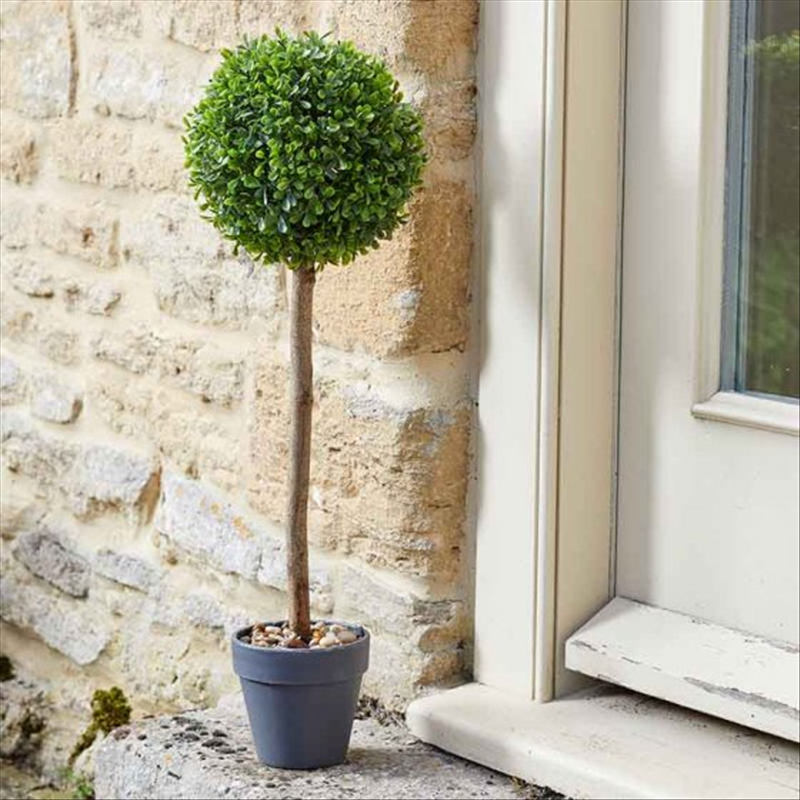 Uno Topiary Tree 40 cm