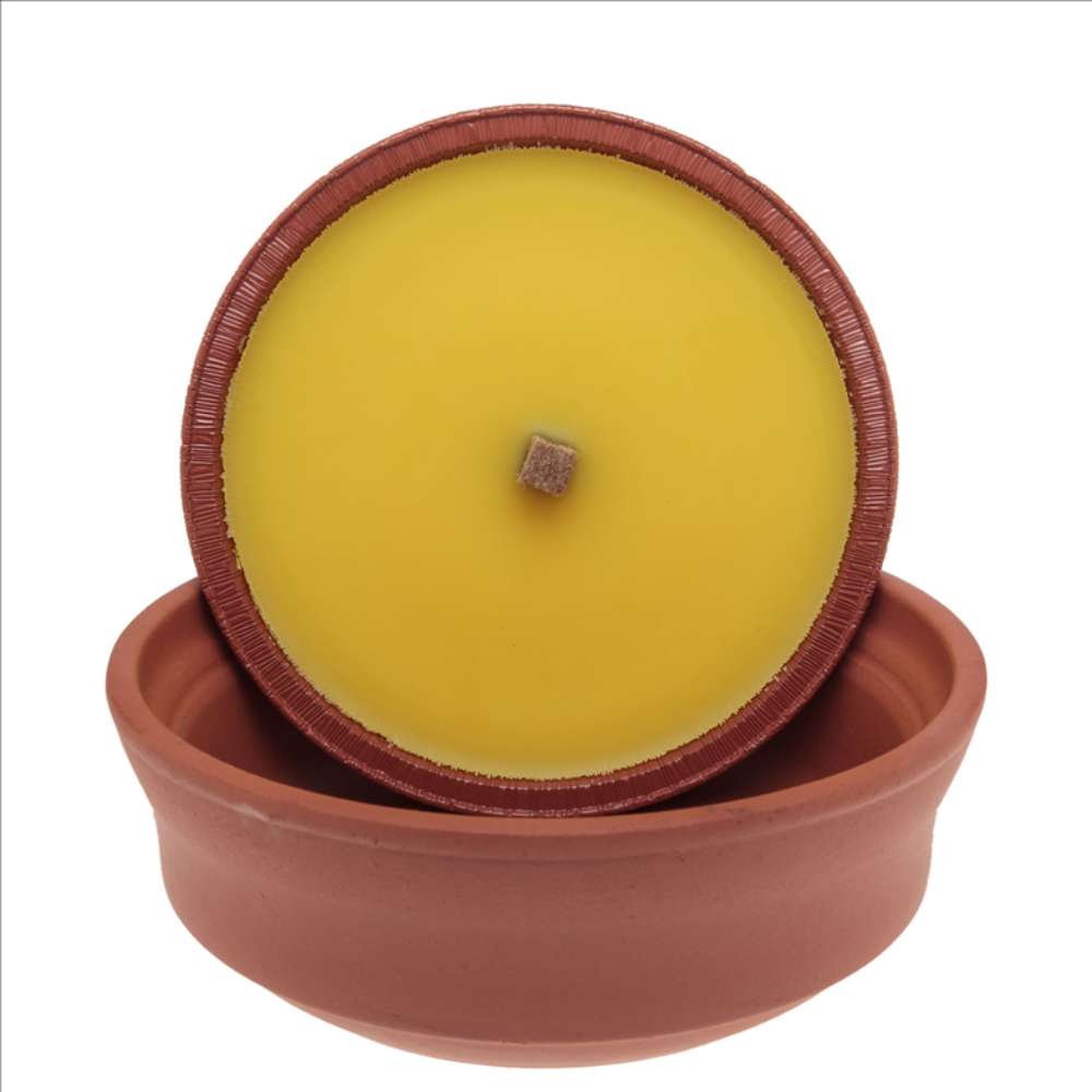 Citronella Large Terracotta Pot