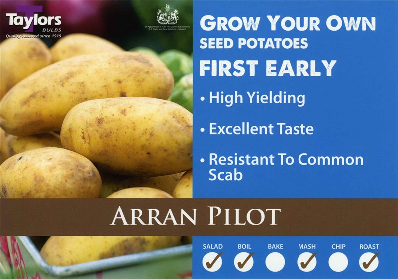 2Kg Arran Pilot 35-60