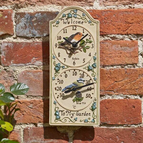 Birdberry Clock & Th/meter