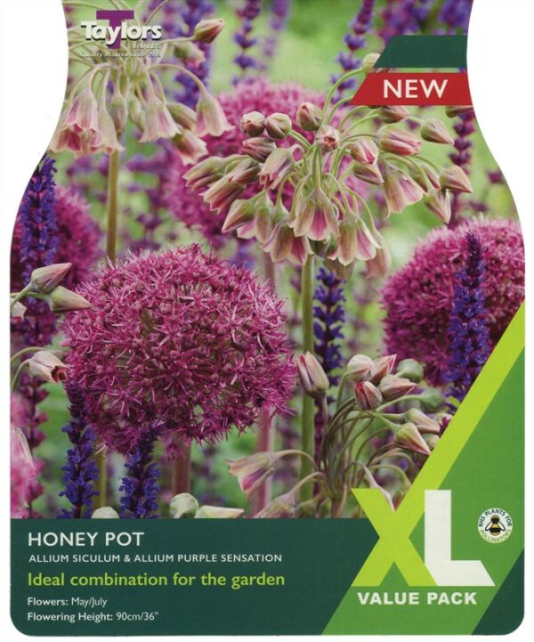 Allium Honey Pot XL Pre Pack