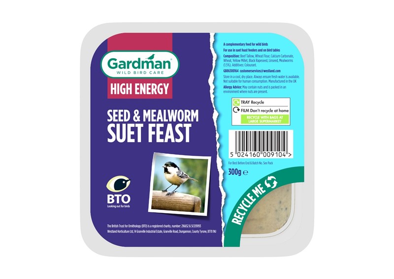 Seed and Insect Suet Feast