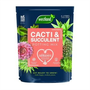 Westland Cacti & Succulent Potting Mix Peat Free 4L