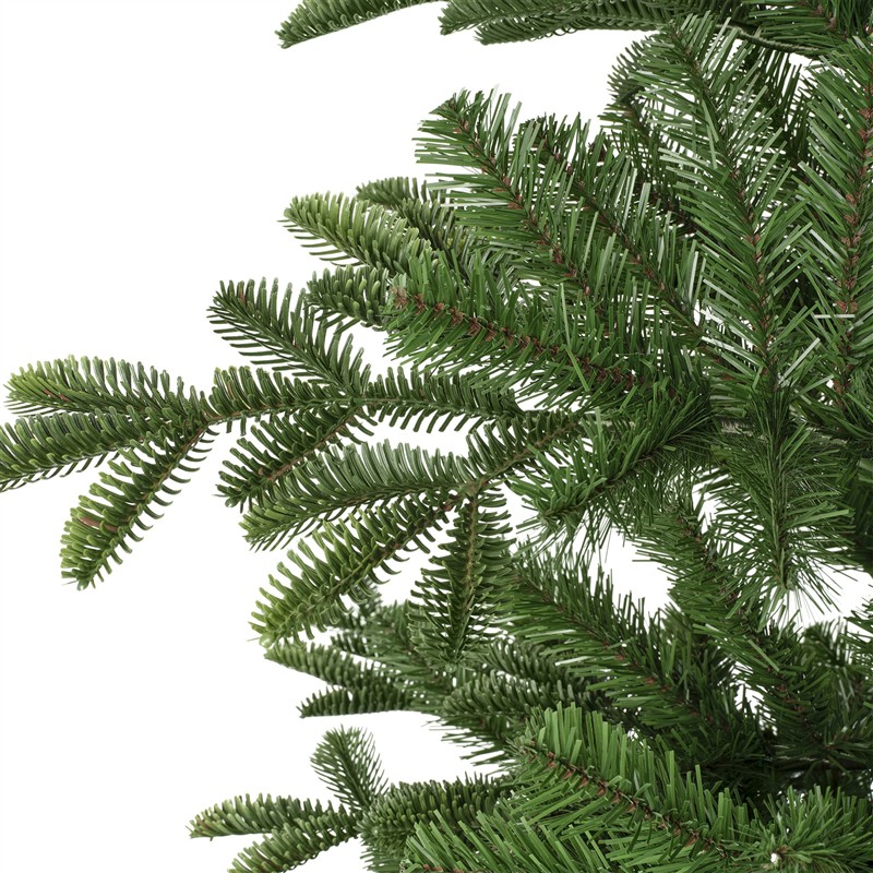 Balsamea Fir 2.1m - Image 4